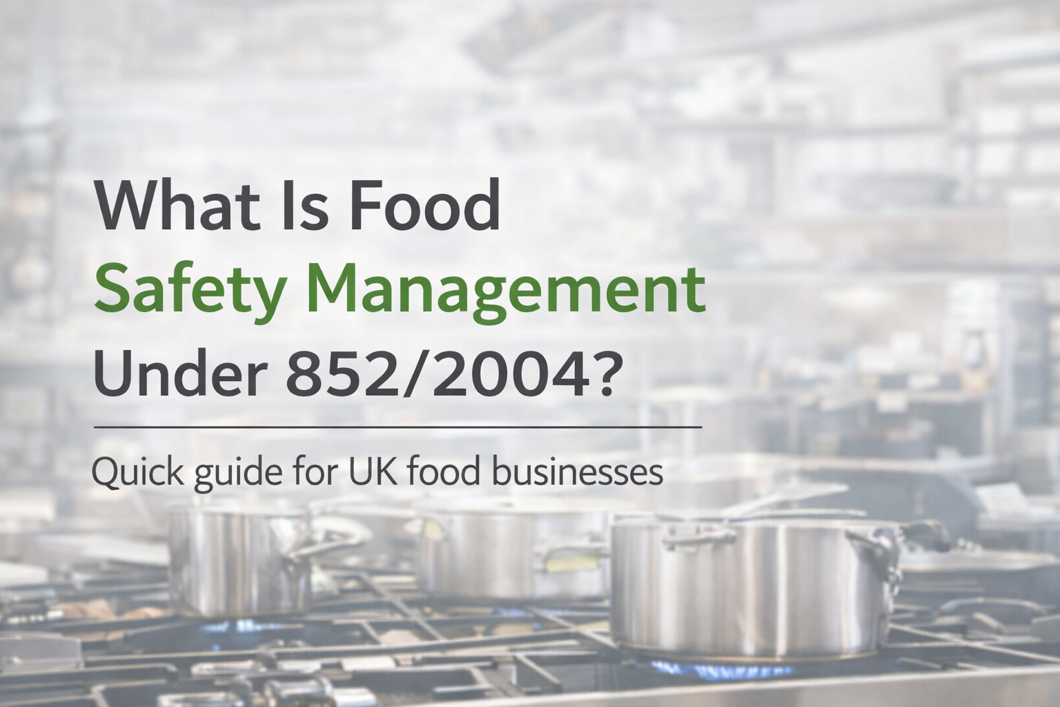 What is food safety management under 852/2004? What is food safety management under 852/2004?