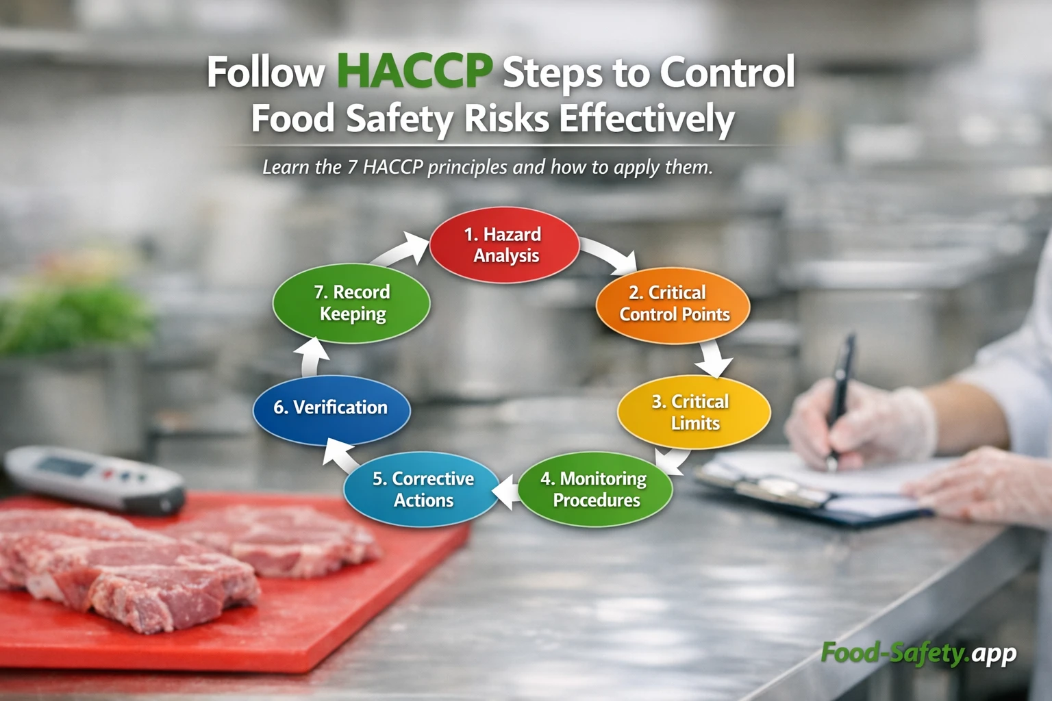 What are the 7 HACCP principles explained simply?